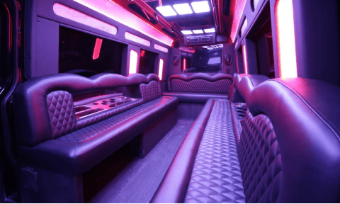Evansville 14 Passenger Sprinter Bus Interior
