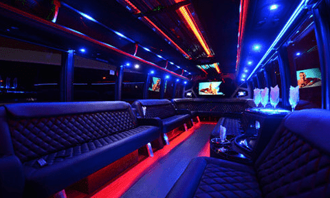 Evansville 30 Passenger Party Bus Black Interior